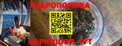 сатива Лесосибирск