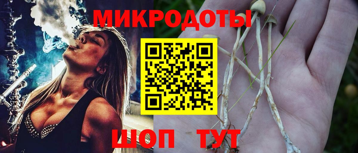 Псилоцибиновые грибы Psilocybine cubensis Тобольск